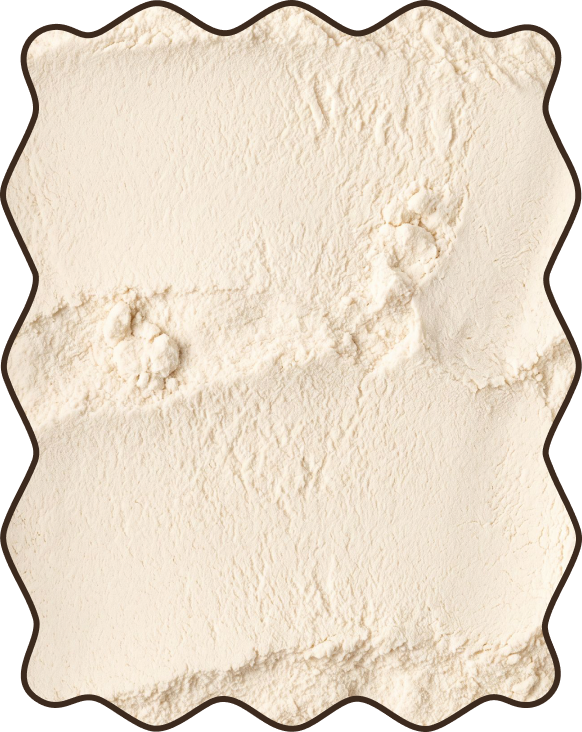 Oat Milk Powder